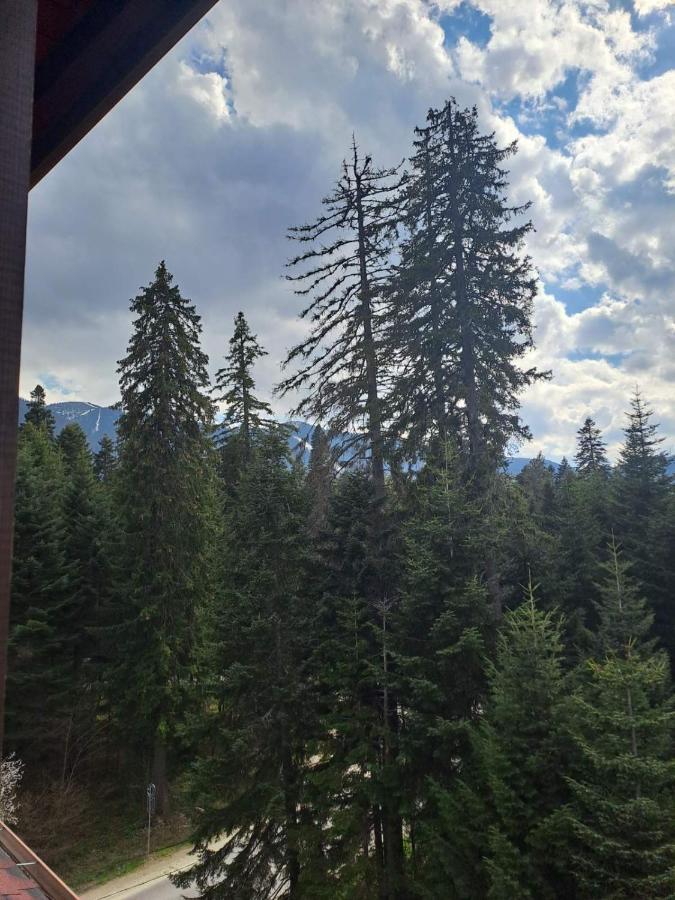 Premium Apartment In Borovets Gardens Complex المظهر الخارجي الصورة