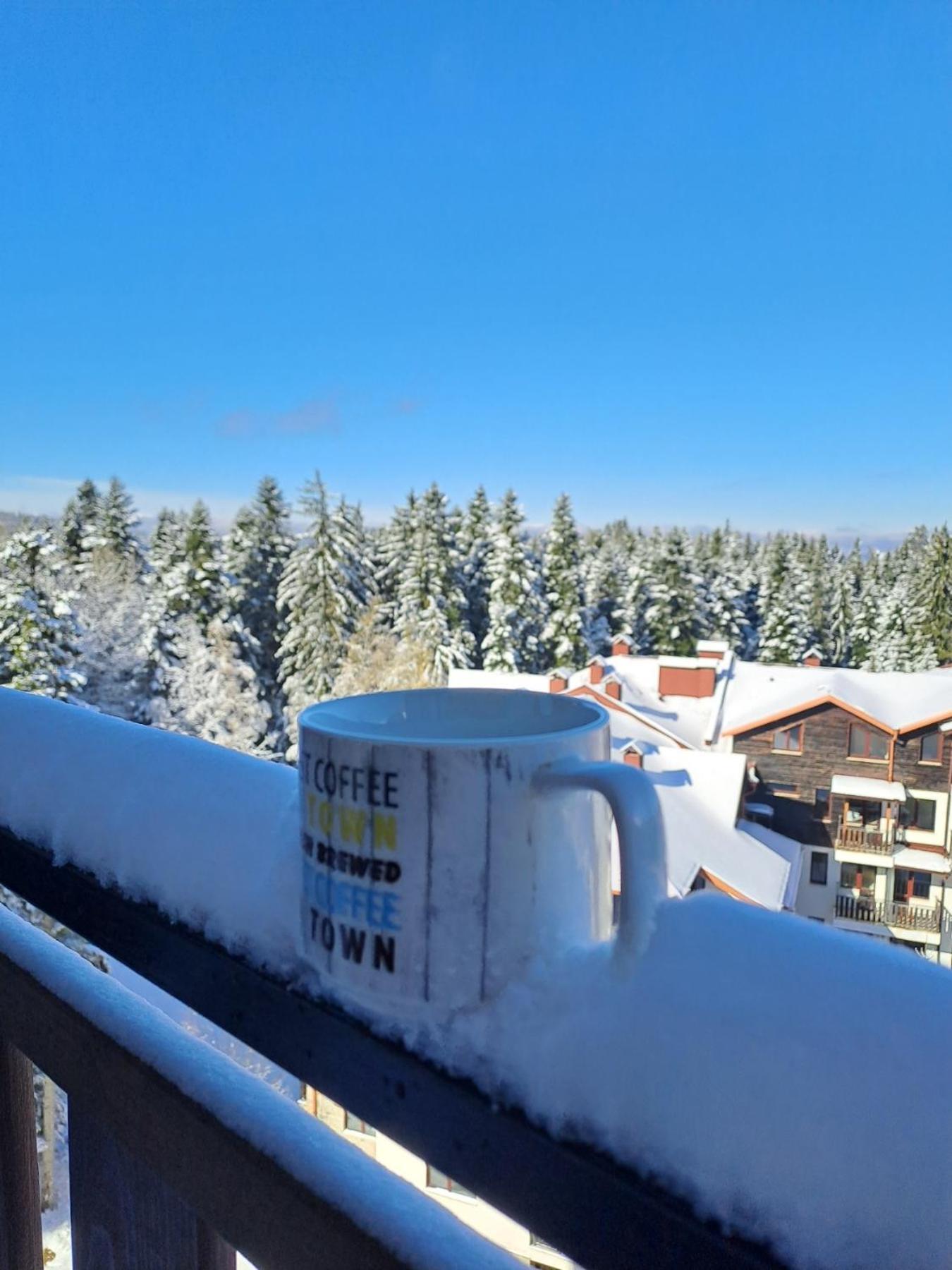 Premium Apartment In Borovets Gardens Complex المظهر الخارجي الصورة